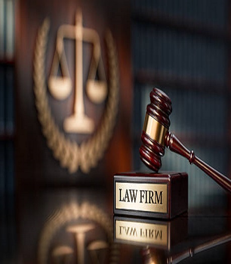 Legal Consultation Feature